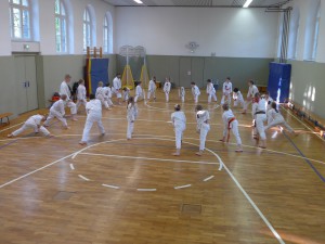 P1010568