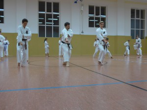 P1020770kl