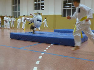 P1020795kl